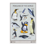 Penguins of the World Poster
